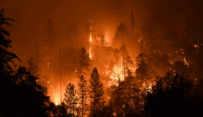 산불 감시 모드 이미지